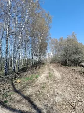 Участок в Курская область, Курск ул. Кольская (10.0 сот.)