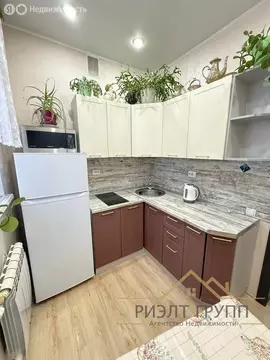 1-комнатная квартира: Казань, улица Айдарова, 24 (29.6 м)