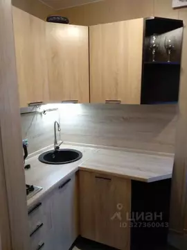 1-к кв. Москва Вяземская ул., 13 (25.0 м)