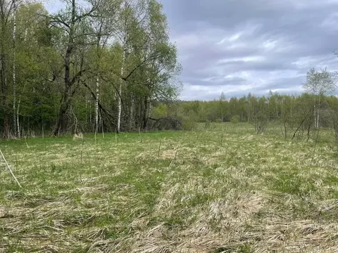 Участок в Московская область, Можайский муниципальный округ, д. ...