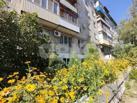 Помещение свободного назначения в Волгоградская область, Волгоград ул. ...