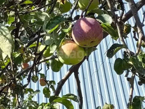 Дом в Саратовская область, Саратов 6-я Дачная Остановка тер., 2/1 (54 ...