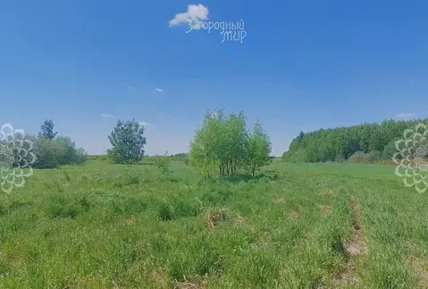 Участок в Московская область, Богородский городской округ, д. Старые ...