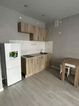 Студия Пермский край, Пермь Батумская ул., 7 (27.5 м)