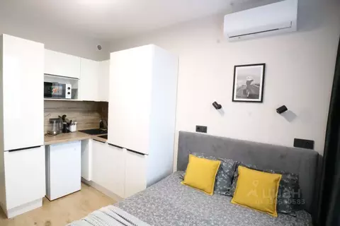 Студия Москва Березовая аллея, 19к2 (14.2 м)