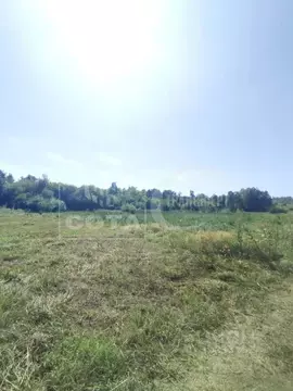 Участок в Воронежская область, Бобровский район, Хреновское с/пос, с. ...