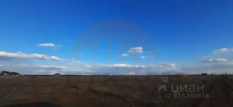 Участок в Крым, Сакский район, с. Лесновка ул. Садовая (6.12 сот.)