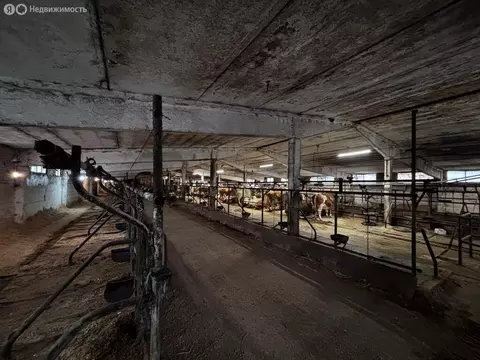 Производственное помещение (3350 м)