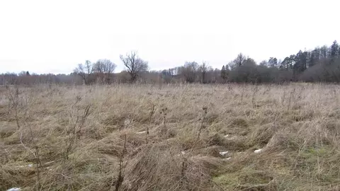 Участок в Московская область, Рузский муниципальный округ, д. ...