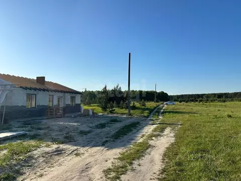 Участок в Брянская область, Брянский район, Новодарковичское с/пос, д. ...