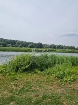 Участок в Воронежская область, Новоусманский район, с. Бабяково ...