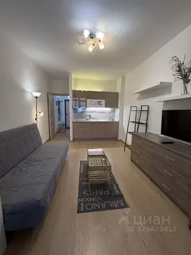 Студия Санкт-Петербург ул. Адмирала Черокова, 22 (26.0 м)