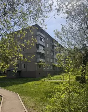 2-к кв. Московская область, Ногинск Богородский городской округ, ул. ...