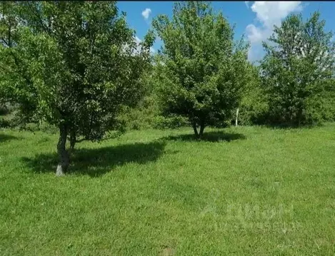 Участок в Крым, Белогорский район, Зеленогорское с/пос, с. Пчелиное ...