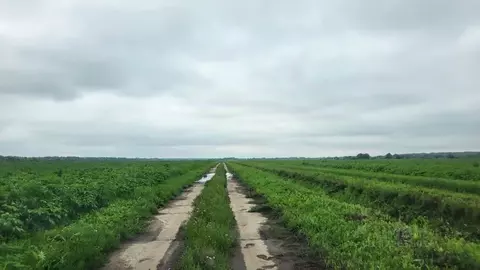 Производственное помещение в Московская область, Коломна городской ...