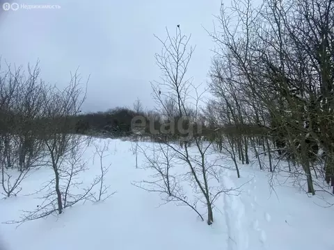 Участок в село Новая Усмань, Октябрьская улица, 1 (6 м)