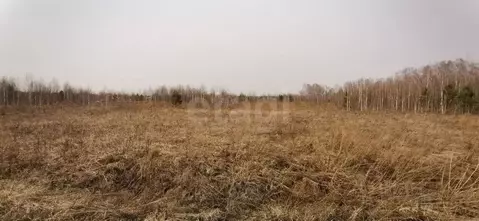 Участок в Новосибирская область, Мошковский район, Индия кп  (12.85 ...