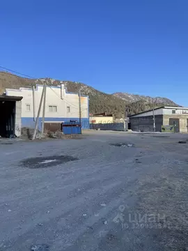 Участок в Алтай, Чемальский район, с. Чемал ул. Пчелкина (57.0 сот.)