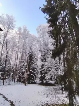 Участок в Москва д. Кривошеино, ул. Ключевая, 2 (12.0 сот.)