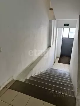 Офис в Белгородская область, Белгород ул. Костюкова, 36Г (33 м)