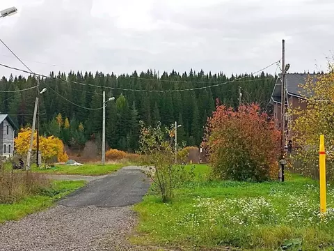 Участок в Свердловская область, Нижний Тагил Тенистая ул. (14.4 сот.)