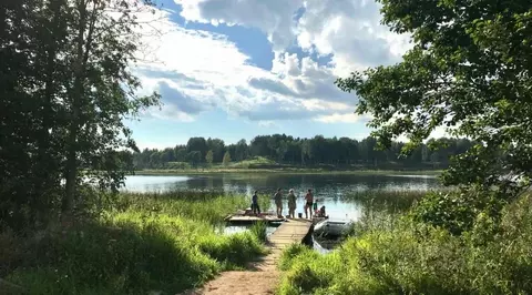 Участок в Новгородская область, Валдайский район, Рощинское с/пос, д. ...