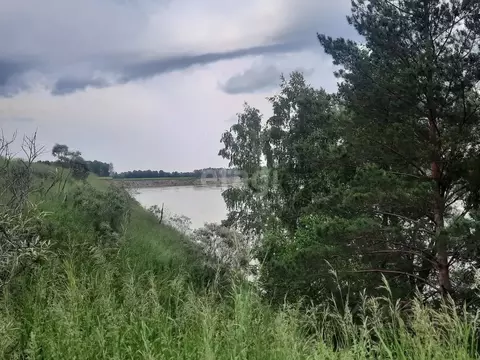 Участок в Алтайский край, Бийский район, Зверовод СДТ ул. Береговая ...