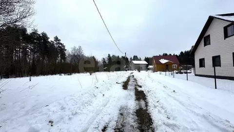 Участок в Ленинградская область, Приозерский район, Раздольевское ...