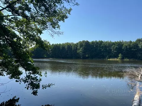 Участок в Тульская область, Дубенский район, Воскресенское с/пос  ...