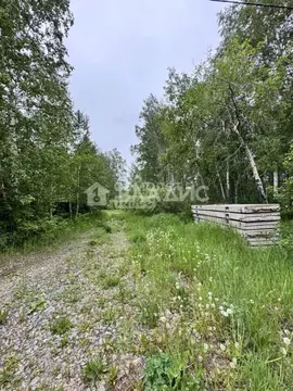 Участок в Челябинская область, Сосновский муниципальный округ, Городок ...