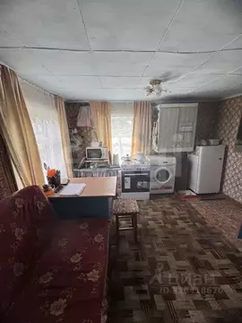 Дом в Алтай, Майминский район, с. Майма Кедровый пер., 3 (32 м)