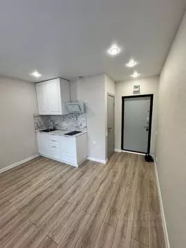 Студия Самарская область, Самара Черемшанская ул., 162 (18.8 м)