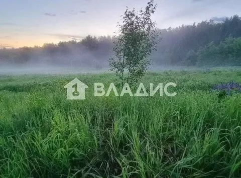 Участок в Владимирская область, Судогодский муниципальный округ, с. ...