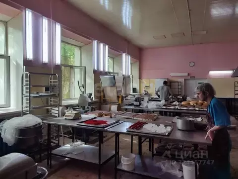 Помещение свободного назначения в Тюменская область, Тюмень ул. ...