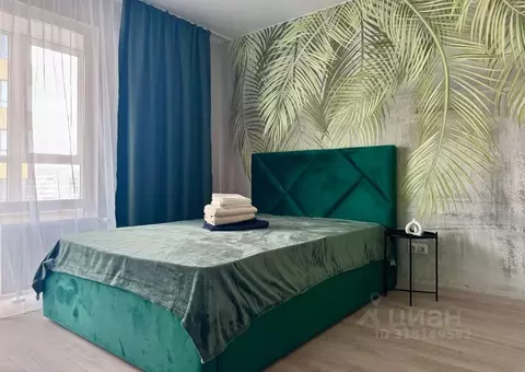 Студия Алтайский край, Барнаул Песчаная ул., 181 (28.0 м)