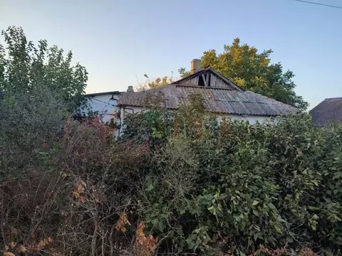 Дом в Крым, Сакский район, с. Митяево ул. Новая (54 м)