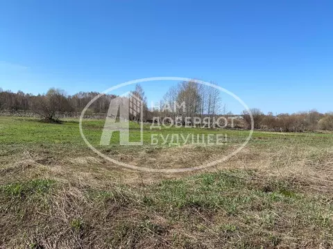 Участок в Пермский край, Чайковский городской округ, с. Кемуль ул. ...