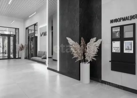 Студия Тюменская область, Тюмень ул. Разведчика Кузнецова, 16 (33.9 м)