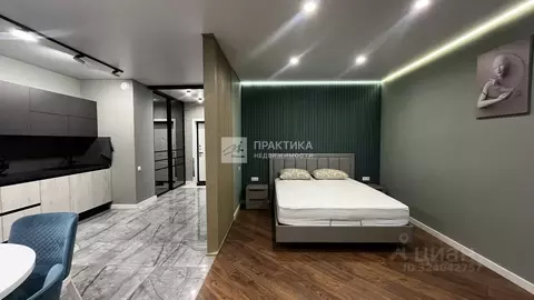 Студия Липецкая область, Липецк Нижняя Логовая ул., 11 (46.6 м)