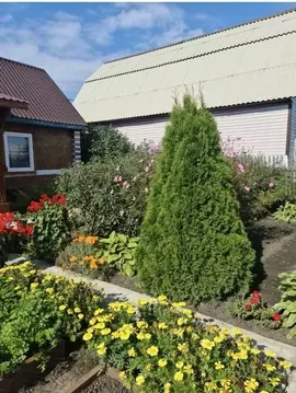 Дом в Омская область, Омск СОСН Авангард-2 тер.,  (50 м)