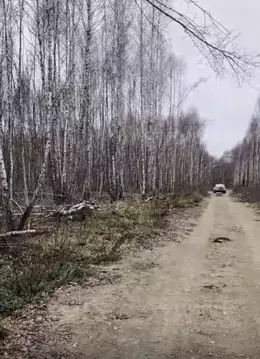 Участок в Тульская область, Ясногорский район, Иваньковское ...