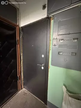 1-комнатная квартира: Нижний Новгород, улица Бориса Корнилова, 5к2 ...