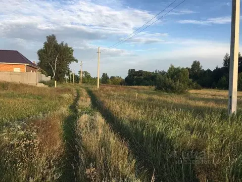Участок в Воронежская область, Лискинский район, Нижнеикорецкое с/пос, ...