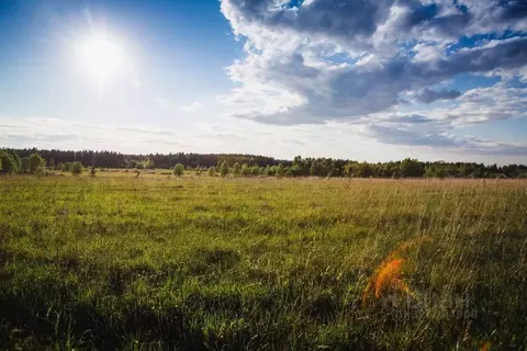 Участок в Ленинградская область, Кингисеппский район, Нежновское ...