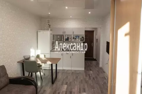 Студия Санкт-Петербург пос. Шушары, просп. Новгородский, 4 (24.1 м)