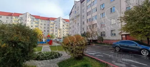 3-к кв. Воронежская область, Воронеж Ипподромная ул., 2Б (88.6 м)