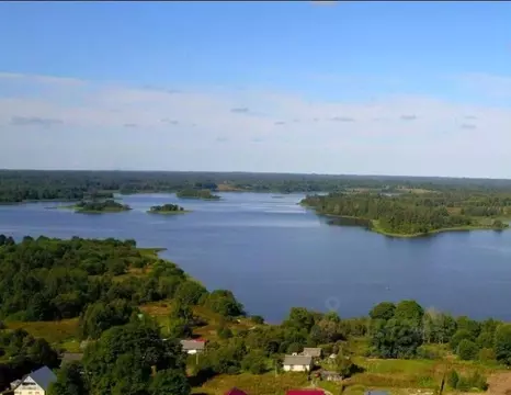 Участок в Псковская область, Куньинский район, Жижицкая волость  (15.0 ...