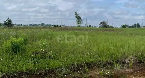 Участок в Московская область, Раменский муниципальный округ, Березки ...