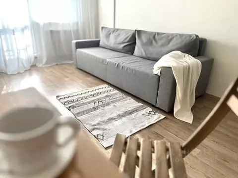 Студия Новосибирская область, Новосибирск Покатная ул., 130/1 (31.0 м)