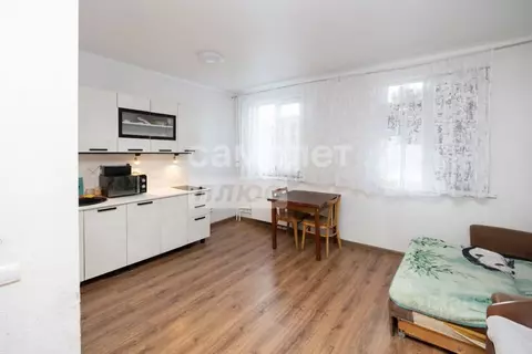 Студия Челябинская область, Сосновский район, Поселок Красное Поле ул. ...